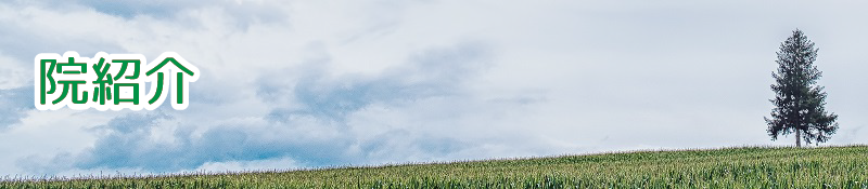 院紹介